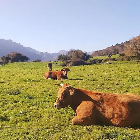 Gestiona2r - 2 Con Piscina Apartament *